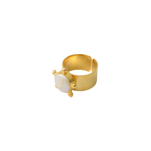 Anillo Nacar puntos